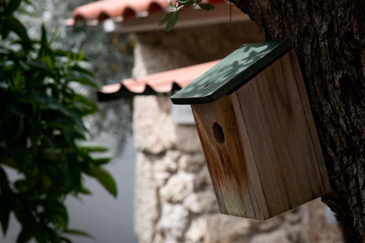 Casa Do Guardado Villa Monsanto Dış mekan fotoğraf